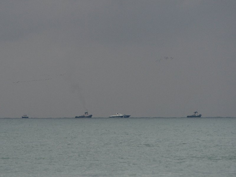 MEA issues advisory for Indians intending to take employment on commercial vessels in Black Sea