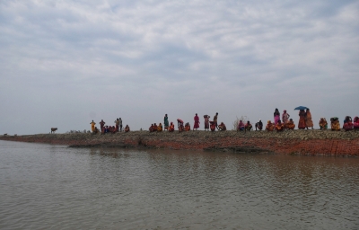 Bengal govt starts process for mangrove restoration on encroached Sundarbans forestland