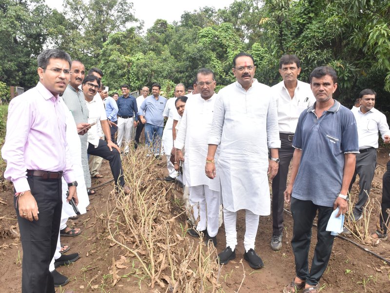 Navsari flood damage survey to be completed without delay: Gujarat Minister