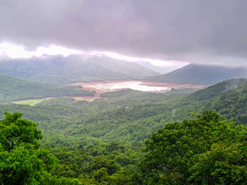 Moderate rain likely in Western Ghats, north coastal TN today