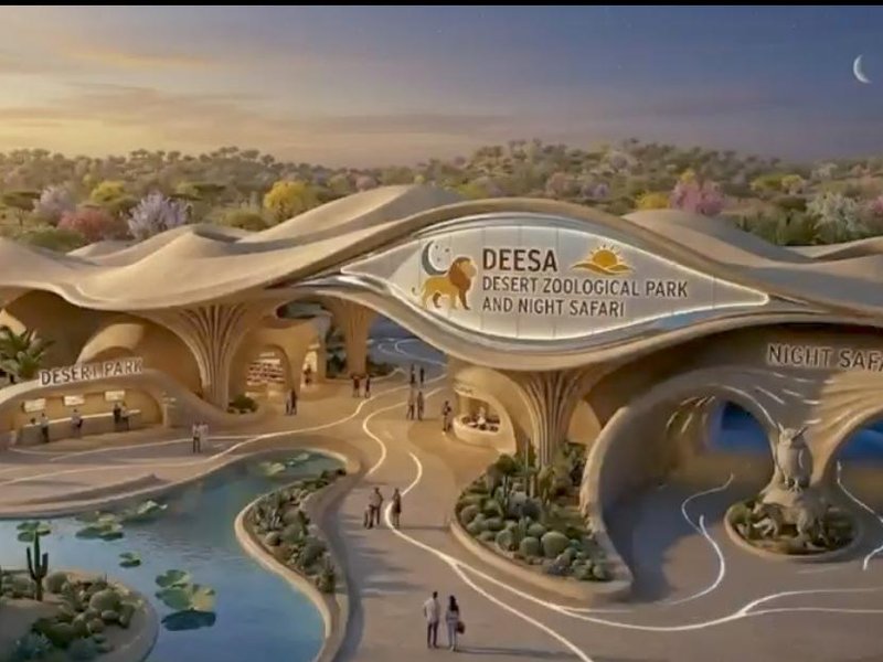 Gujarat gets CZA approval for Asia's first desert-themed night safari, zoo at Deesa
