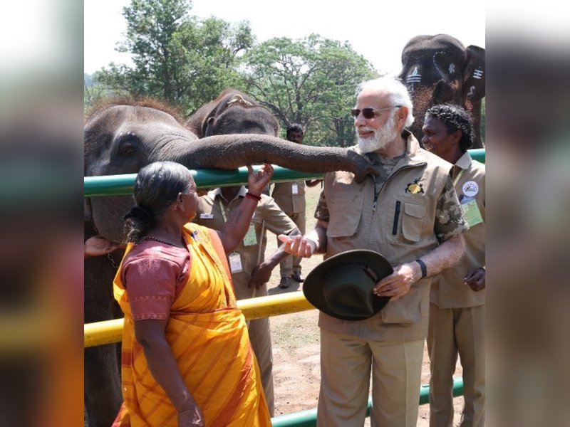 Gladdening that India is home to over 60 pc of world’s wild Asian elephants: PM Modi on World Elephant Day