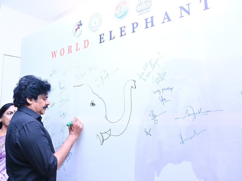 'Kumki' elephants reduced human fatalities in Andhra Pradesh by 70 pc: Pawan Kalyan