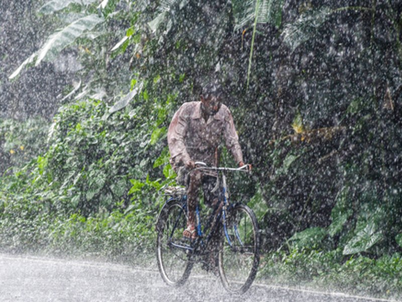 IMD issues heavy rain, thunderstorm alert for MP districts