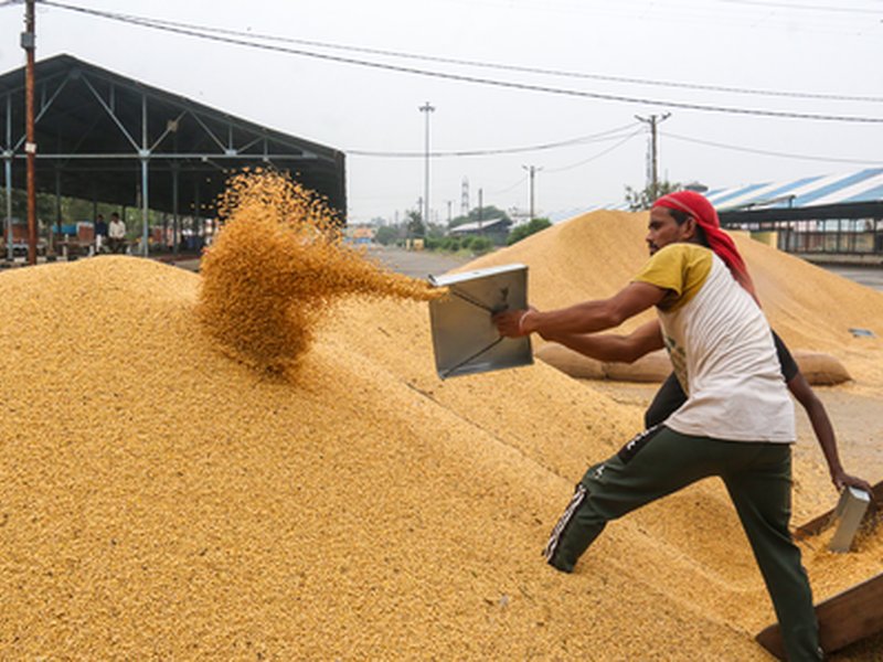 MP: Soybean registration under Bhavantar Yojana to begin on Oct 3