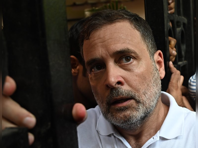 Oppn protest: Hours after detention, Delhi Police release Rahul, Priyanka and other INDIA bloc leaders