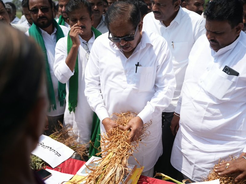Drought in Karnataka becoming severe; Rs 2,500 each given to 50 lakh farmers as first relief instalment, says Dy CM Parameshwara