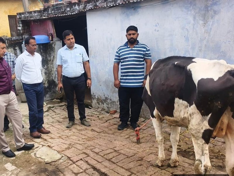 J&K: Central team visits areas affected by animal LSD