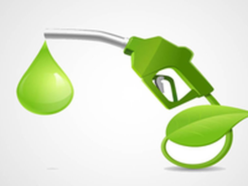 Govt halts sugar-based ethanol procurement as weak monsoon hurts output