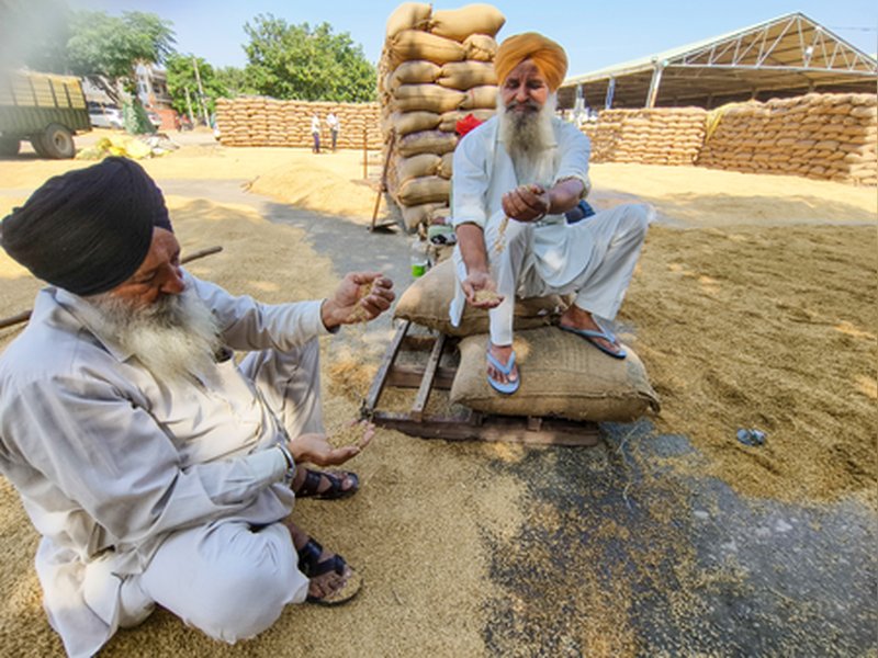 Punjab farmers now have helpline to manage crop residue