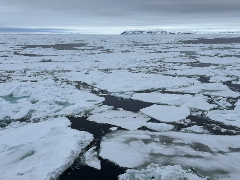 US, Japan, South Korea deepen Arctic ties